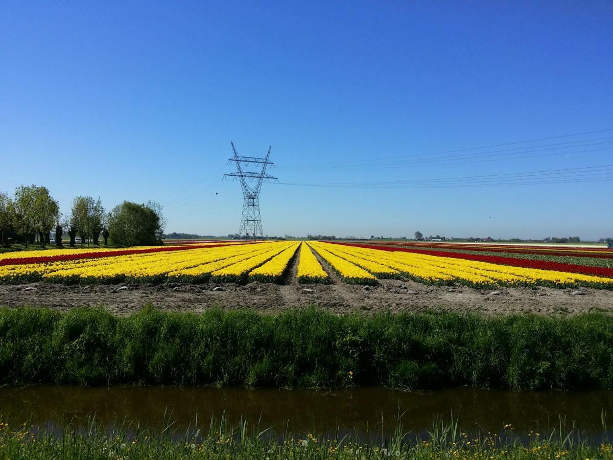 Gastenverblijf Bij De Molen Tussen Alkmaar En Hoorn Oterleek Dış mekan fotoğraf